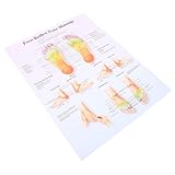 GALPADA Fußreflexzonen chart Poster Medizinisches Lernposter Wasserabweisend für Praxis und Heimdekoration Informatives Massage wandbild zur Reflexzonenmassage und Gesundheitsbildung
