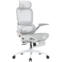 SIHOO B100 Pro Ergonomic Office Chair, Office Chair with Adaptive Lumbar Support, Computer Chair with Dual-Back, Desk Chair with 360 Rotatable & Flip-Up Armrests, 3D Wide Headrest, Light Grey