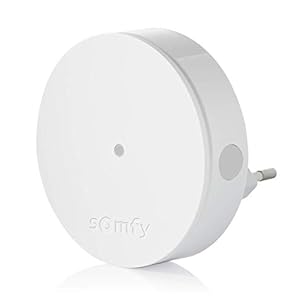 Somfy 2401495 – Radiorelais Somfy Beschermen | Hou van de radio | Compatibele Gammes Home Alarm en Somfy ÉÉN (+)