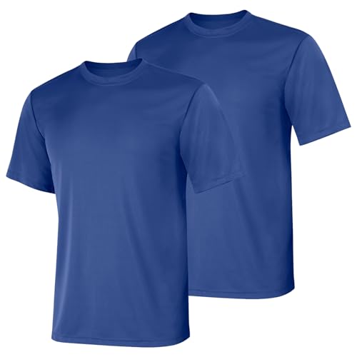 Hanes Men's 2 Pack S/s Cooldri Tee
