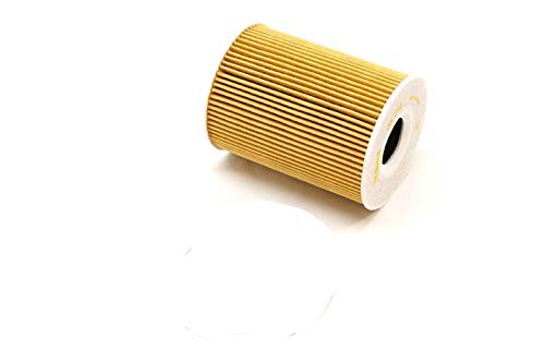 Porsche Cayenne V8 Oil Filter