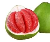 Ruby Pomelo Seeds, Organic Heirloom Non-GMO, Sweet and Juicy, Green Skin, Outdoor Planting (10)