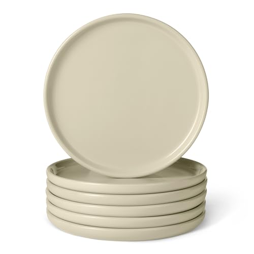 Amazon Basics Platos Llanos de Gres Esmaltado, Juego de 6 Piezas, Aptos para Microondas y Lavavajillas, 26,7cm, Marfil