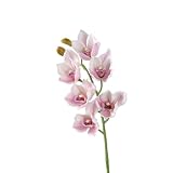 HXSCOO Orchidée cymbidium Artificielle – Composition Florale en Soie for la décoration de la Maison et du Mariage(Gouache)