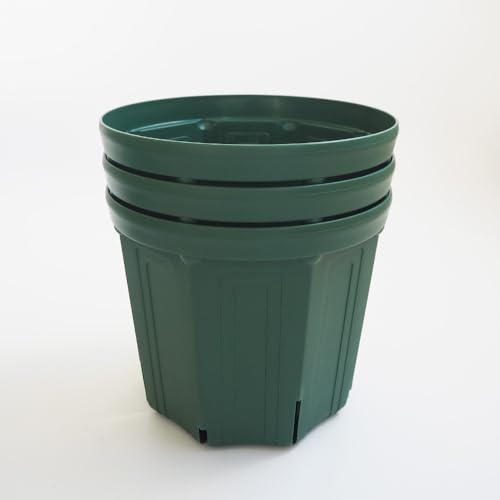 お鉢めぐりセット