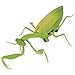 Imagen de 01 02 015 Mantis Religiosa con Control Remoto