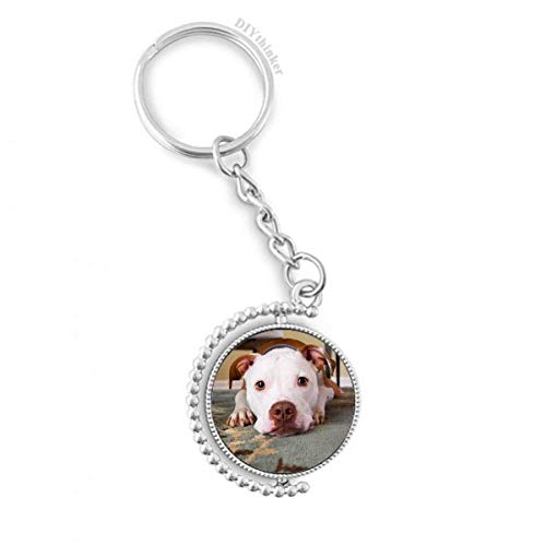 Dogo blanco animal de compañía imagen giratoria en titular de la clave de metal pulido duradero
