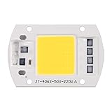 OurLeeme 100W 220V LED Pilote pour Puce Intelligente COB pour Projecteur Projecteur (Blanc Froid)