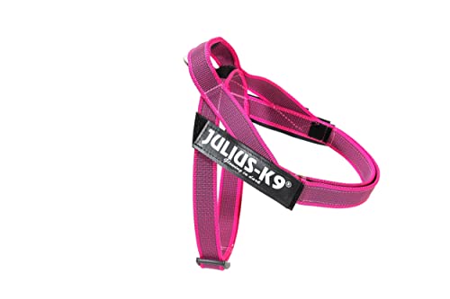 Julius-K9, IDC® Color & Gray® Beltgeschirr