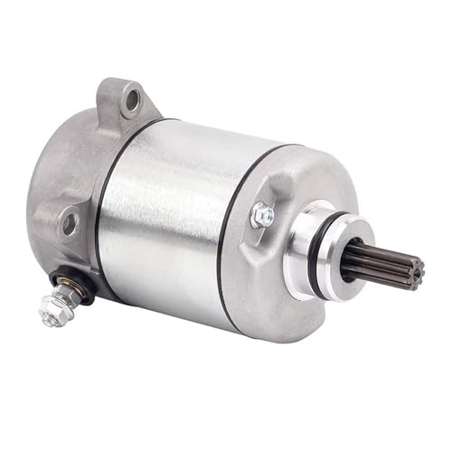 Para TRX250 Para Recon ES TRX250EX Para Sportrax TRX250TE Para FourTrax TRX250TM TRX250X 31200-HM8-003 Motor Arranque Motocicleta Motor De Arranque Eléctrico
