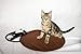 The Kitty Tube Safe Low Voltage Round Pet Heating Pad (Released Sept. 2020)