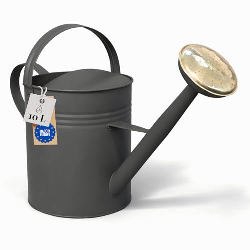 LIVLIG Arrosoir 10l, Arrosoir à fleurs pour jardin et balcon, Arrosoir en métal de haute qualité avec douchette amovible et design à 2 anses, Arrosoir...