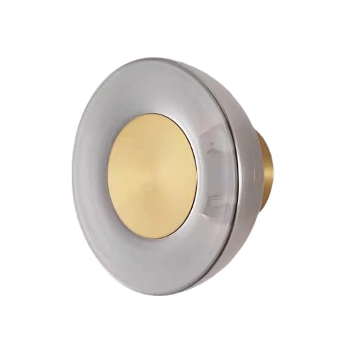 RXPVUXE Smoky Gray Glass Wall Sconce Modern Round LED Wall