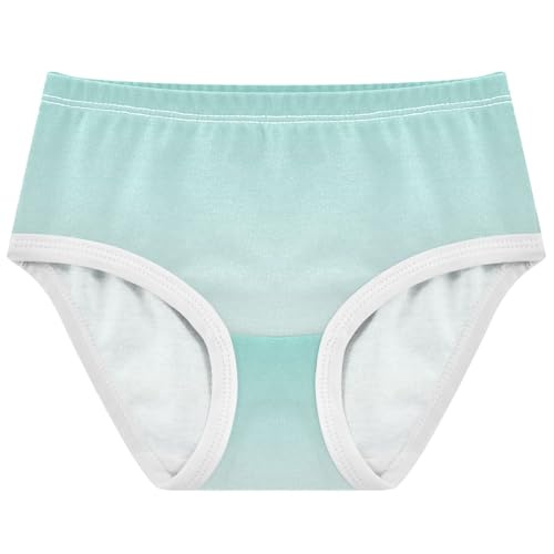 Joisal Green Blue White Gradient Girls Underwear Toddlers 2t Cotton Panties Little Girl Flower Kids Undies Briefs
