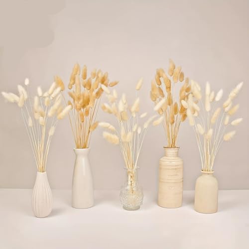 Ramo de 60 piezas de flores secas Pampas Grass Bunny Rabbit miniatura 2