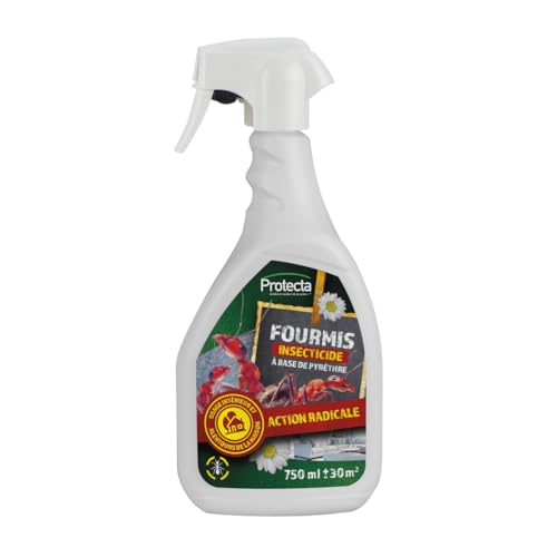 Protecta® Insecticide Fourmis Puissant 750ml – Spray Anti-Fourmis Prêt à l’Emploi – À Base de Pyrèthre – Action Radicale – Usage Maison Intérieur et Extérieur