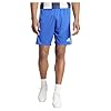 adidas Men's Squadra 21 Shorts, Team Royal Blue/Team Solar Yellow/Team Royal Blue, L