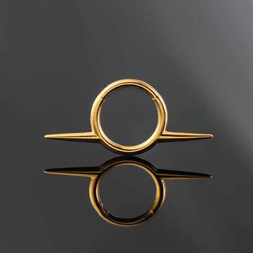 Titanium Septum Ring16G Septum Jewelry 8mm,ASTM F136 Titanium Nose rings Classic design Clicker Cartilage Earring Hinged Segment Daith Piercing Black silver gold 1PCS3