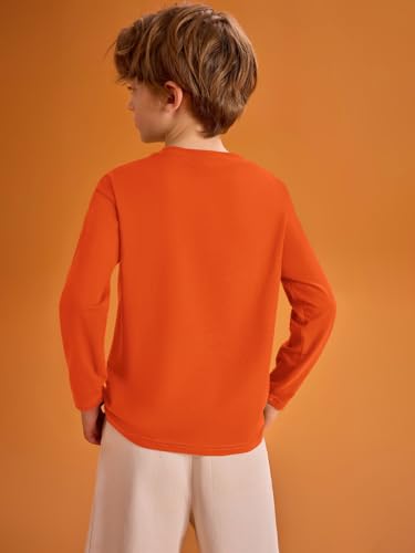 Image of Haloumoning Kids Boys Long Sleeve Crewneck T-Shirts Tee Tops 5-14 Years