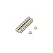 Produktbild First4magnets F343-N35-50 4mm Durchmesser x 1mm dicken N35 Neodym-Magneten - 0,16 kg ziehen (Packung mit 50), Silver, 25 x 10 x 3 cm, Stück