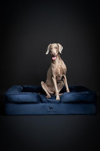 Image of NOAH & PAW XL Dog Bed, 45x35x11 Inch, Orthopedic Large Dog Beds, Eggshell Memory Foam Infused with Cooling Gel, Inner Cover, Water Resistant, Machine Washable (Velvet Sofa Collection)