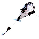 Cerf-volant de baleine de dessin animé en 120 x 215 cm, avec une corde volante de 30 m, il démarre facilement, vole calmement dans le vent, se pose facilement et vole uniformément dans le vent.