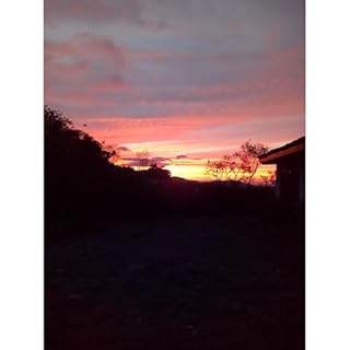 Spanish Reader for Beginners-Elementary 2-Short Paragraphs in Spanish Audiobook By Iris Acevedo A. cover art