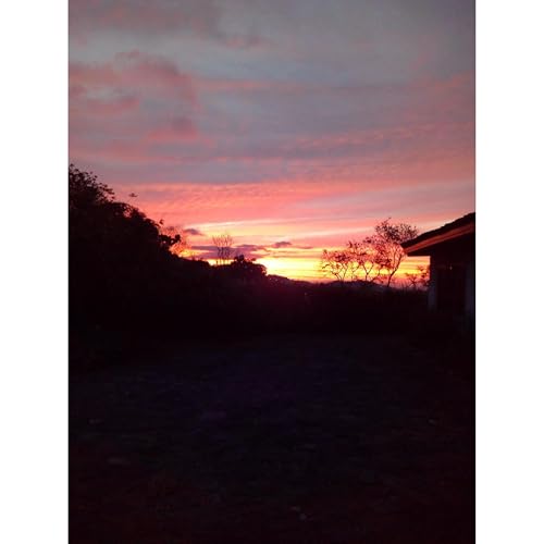 Spanish Reader for Beginners-Elementary 2-Short Paragraphs in Spanish Audiobook By Iris Acevedo A. cover art