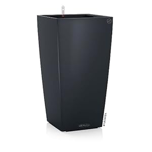 Lechuza – Pot de Fleurs d’...