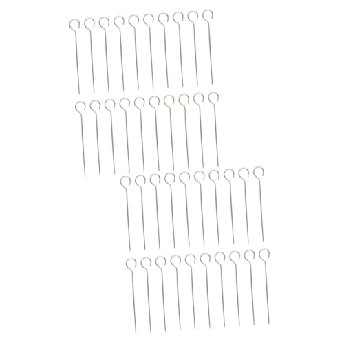 BESPORTBLE 40 Pz Ago di coda d'oca in acciaio inossidabile barbecue in acciaio inossidabile spiedini per barbecue in metallo spiedo kitchen gadgets spiedini di carne Cerchiato