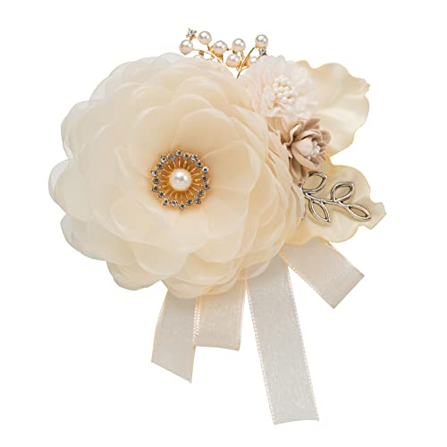 cocomam CXg[̃u[`RT[Wiojx[Wj  Zj[ RT[WEu[`QWAY w Ǝ  