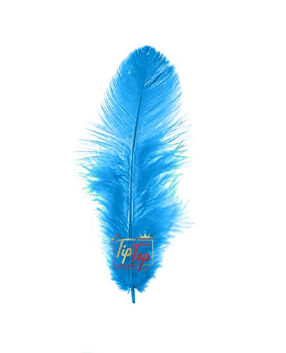 Image of Natural Dyed Feathers 10 cm (80 pieces) (Light Blue)