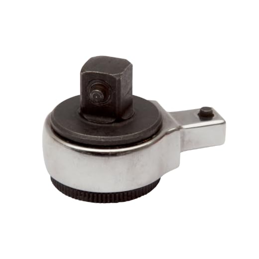 Amazon.co.jp: Cabeza インターキャンビブル カラカ