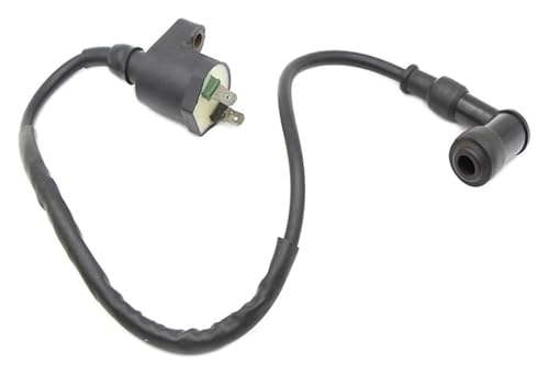 Bobina de encendido compatible con SYM Symphony, X-Pro y Fiddle: recambio de motor