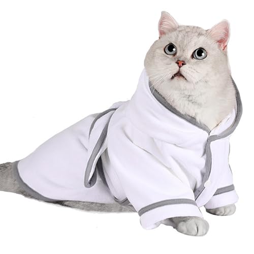 HUSUNEE hbO oX[u,t[htybgR[g | LpybgoX[u j r[` V[ v[ O[~O ₽V oX[p