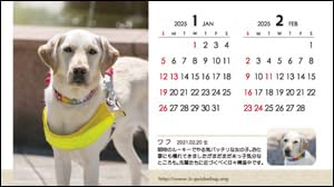 Amazon | 盲導犬寄付金付 「スマイルカレンダー」＆「盲導犬PR隊 卓上