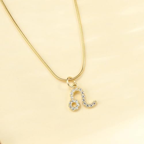 Image of SALTY Anti Tarnish Zodiac Sign Pendant Necklace for Women Men | Stylish Locket Neck Chain | Fashion Jewellery Accessories for Girls Boys | Minimal Jewelry | Ideal for Gifting | Gift for Diwali, Christmas, Marriage, Birthday