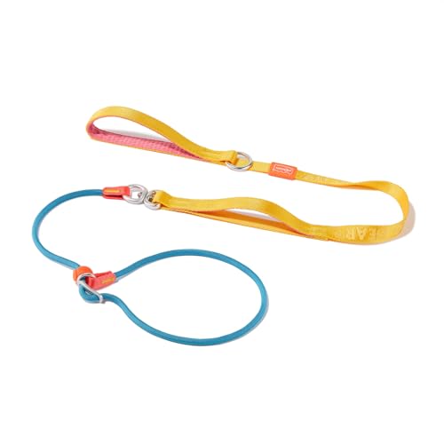 Guinzaglio a guinzaglio scorrevole con doppie maniglie, guinzaglio girevole a 360° anti-groviglio, collare per cani di taglia grande di tutte le razze, passeggiate senza tirare(Multicolore,1.6 M)