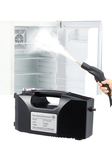 Shoe Cleaner Car Cleaning Machine High Pressure Steam Cleaner (Black)
