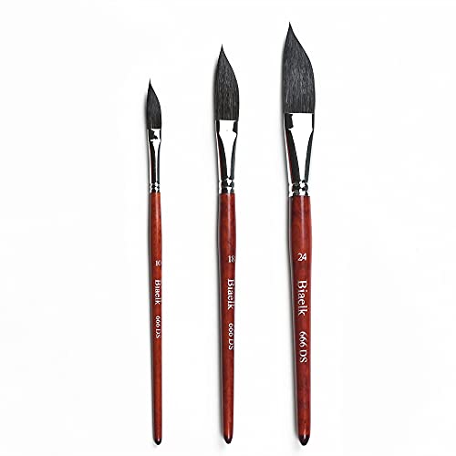 Biaelk 666Ds Dagger Shape Squirrel Mix Hair Wooden Handle Watercolor Brushes, Size#10#18#24 Paintbrush Set For Artist #TOP4