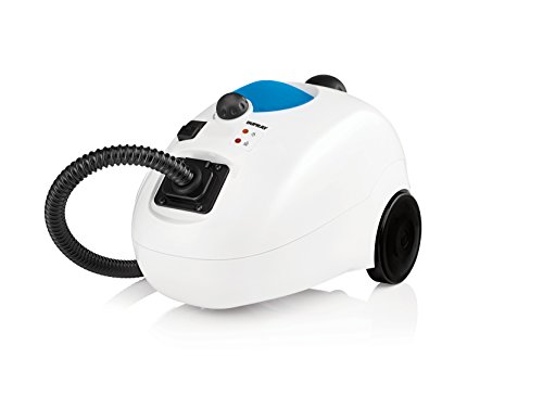 Dupray HOME Steam Cleaner Best for Home Auto Office Disinfection Kitchen Grout and Tiles