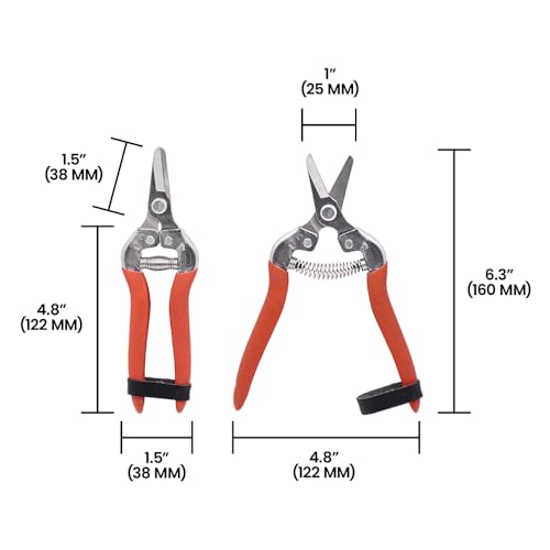 Tijeras de Cosecha Curvas Zenport H301SC, Acero Inox, Rojo miniatura 5