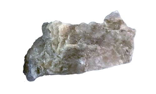 Image of Dinosaur Coprolite (Fossilized Poop) - Genuine Prehistoric Specimen for Science Education or Collectors