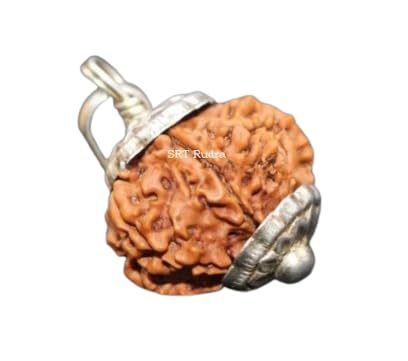 SRT RudraEight Mukhi Rudraksha Original Certified 8 Mukhi Nepal Rudraksha Bead Aath Mukhi Rudraksha Blessed Ganesh अष्टा मुखी रुद्राक्ष 20mm For 8 Face Rudraksha Bracelet