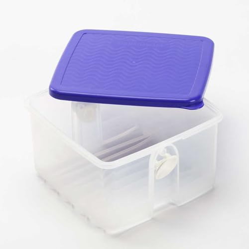 SIGNORA WARE KlimaOase Klima Oasebehälter Lebensmittelaufbewahrung Kühlbox Frutas Verduras Prima Klima Klima transparent lila violeta 1,0 litros