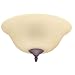 Hunter Fan Company Hunter Fan Company 28640 12-Inch Bowl Light - Amber with Weathered Bronze, Antique Brass Finial