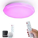 chysongoods 28w Φ30cm plafoniera alexa google home compatibile plafoniera led cambia colore dimmerabile adatta per soggiorno camera da letto cameretta per bambini