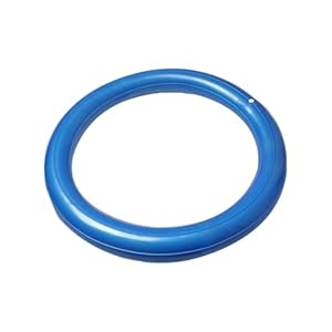 Generisch Stabilizator Piłki Gimnastycznej Niebieski