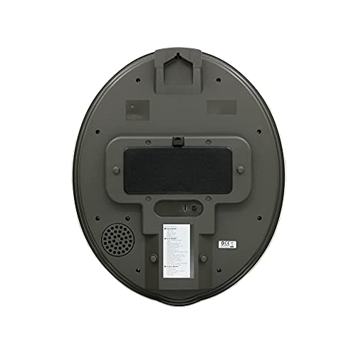 Seiko Melodies In Motion Wall Clock, Summer Symphony #TOP1