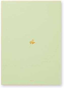 Amazon | ミドリ 色紙 カラー色紙 二つ折り 本型 黄緑 B5 33269006